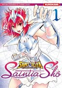 Couverture — Saint Seiya — Les chevaliers du zodiaque (Édition simple)