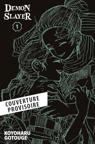 Couverture de Demon Slayer (Edition 25 ans Panini)