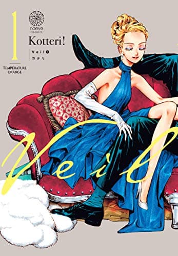 Couverture de Veil