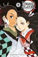 Couverture — Demon slayer — Kimetsu no yaiba (Édition collector)