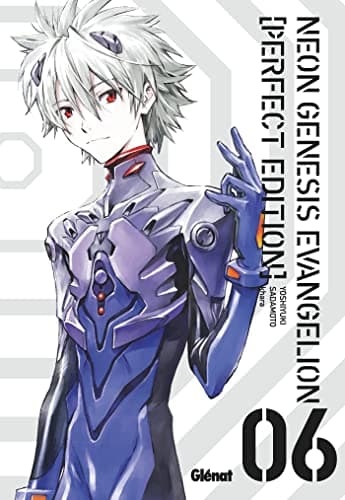 Neon genesis evangelion (Perfect edition) — Tome 6