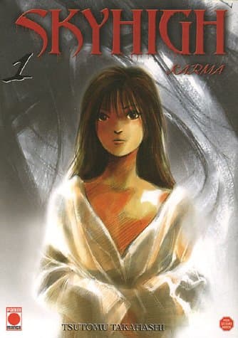 Couverture de Skyhigh karma