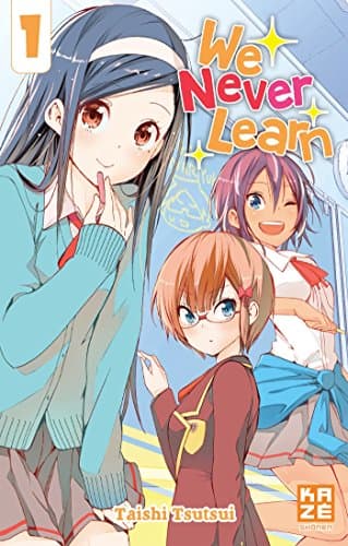Couverture de We never learn