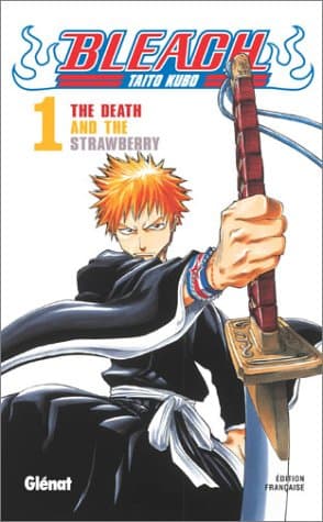 Couverture de Bleach