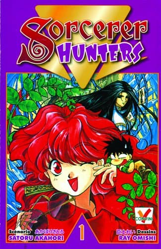 Couverture de Sorcerer hunters