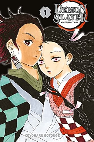 Couverture de Demon slayer — Kimetsu no yaiba (Éd. collector)
